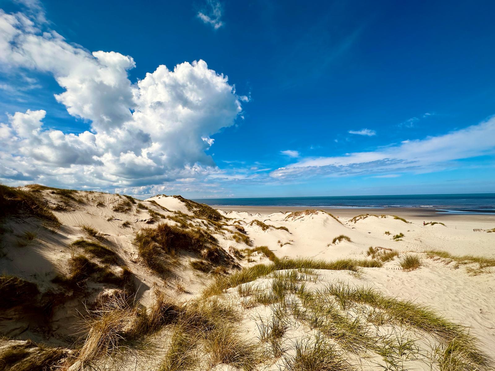 Sentier d'accès à la mer en Baie de Somme