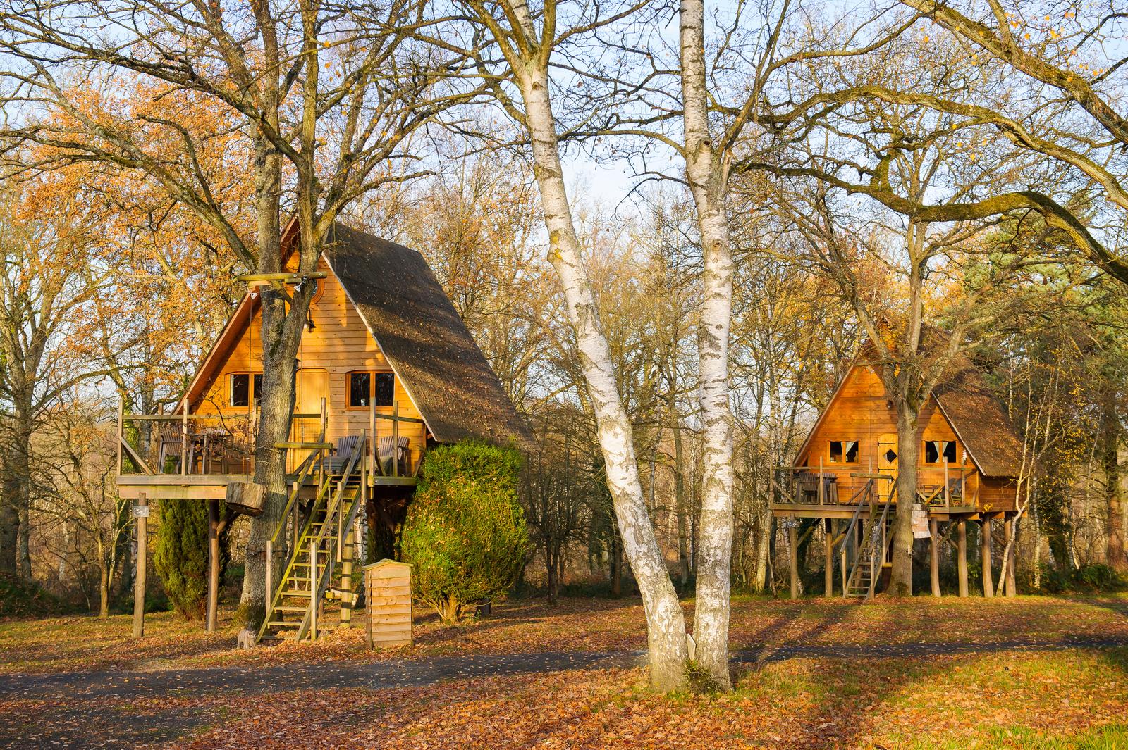 Fère-en-Tardenois : le Nid dans les Bruyères 01