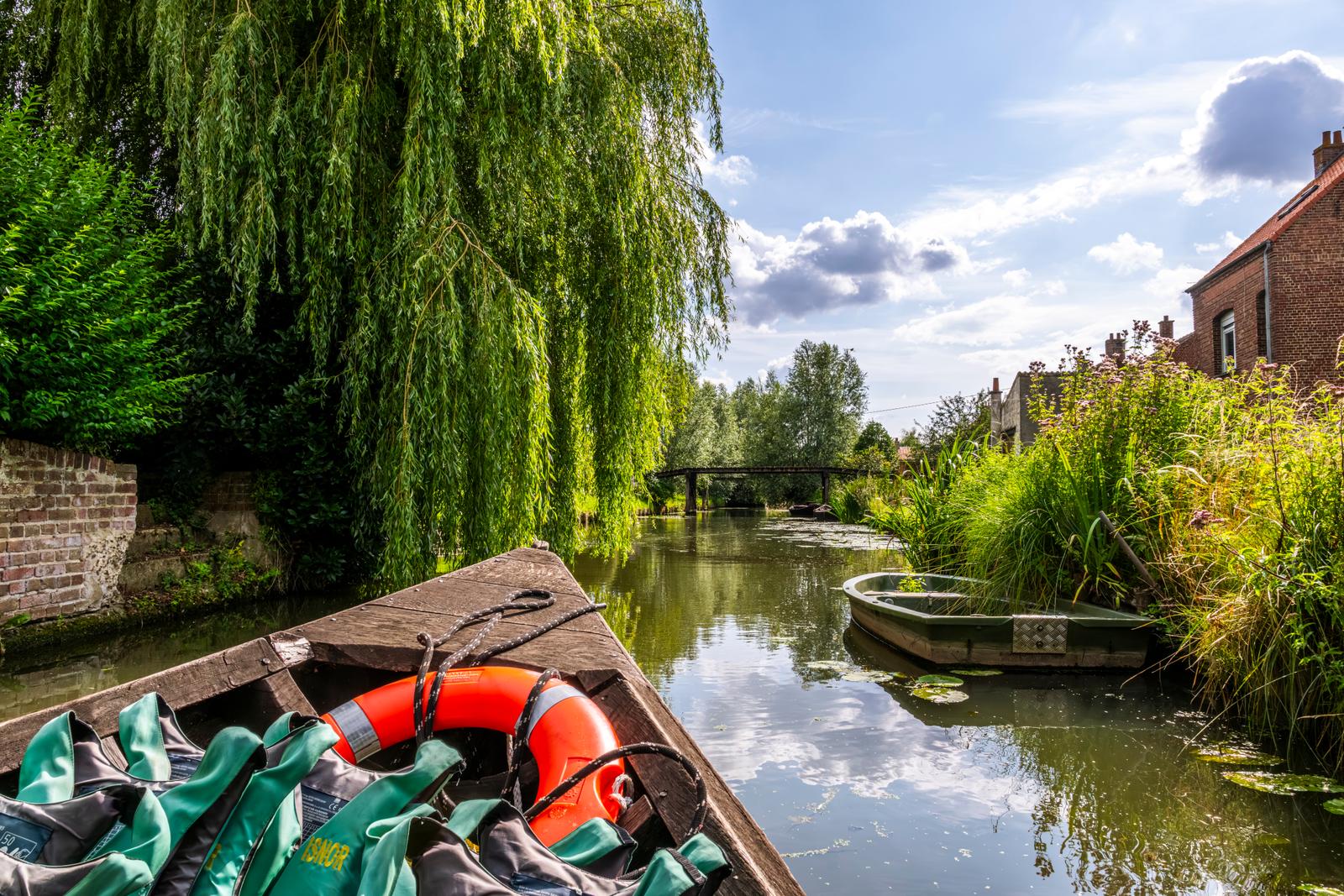 Bacôves dans le marais Audomarois