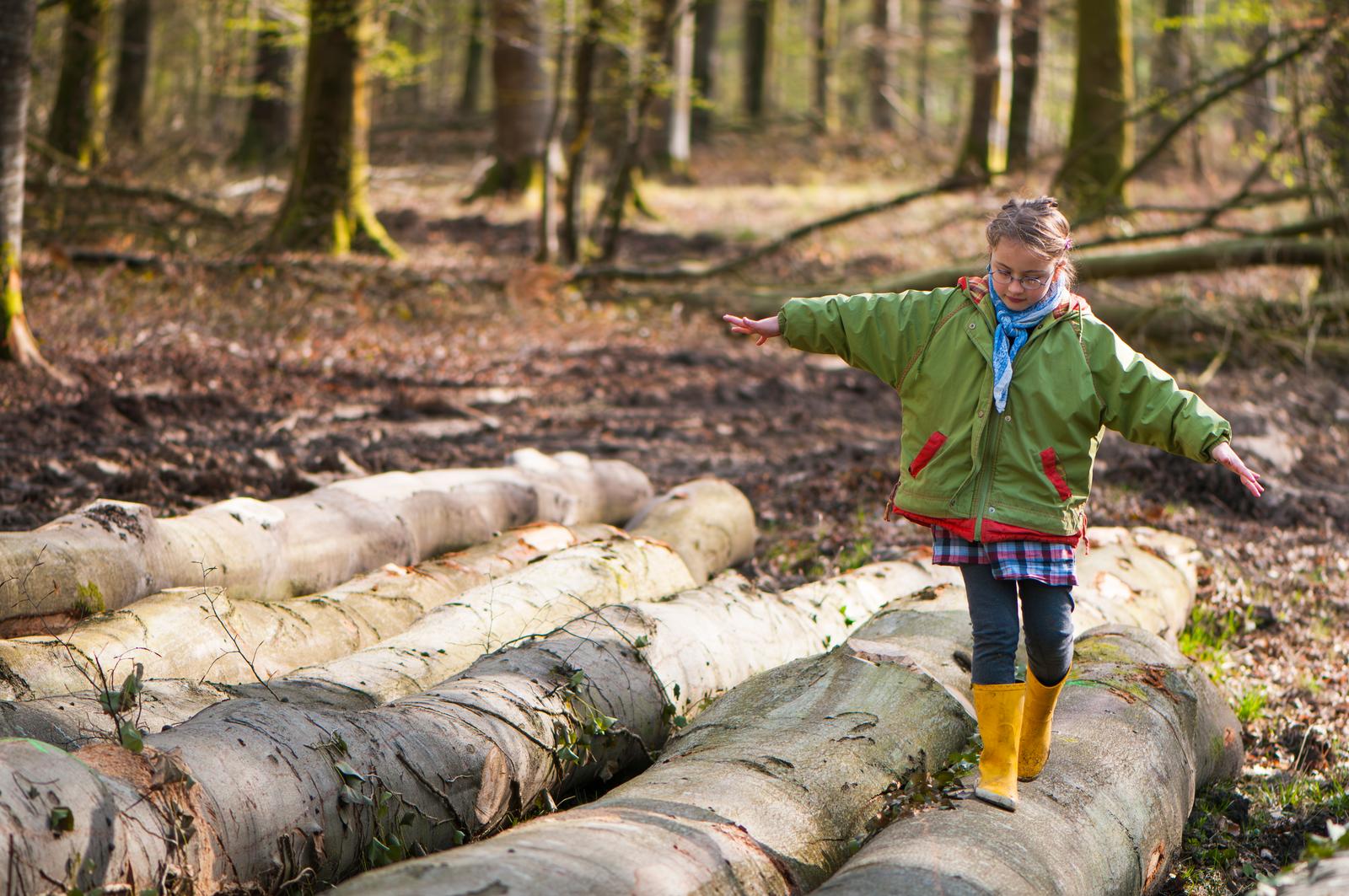Forêt de Crécy : fillette marchant sur un tronc d'arbre