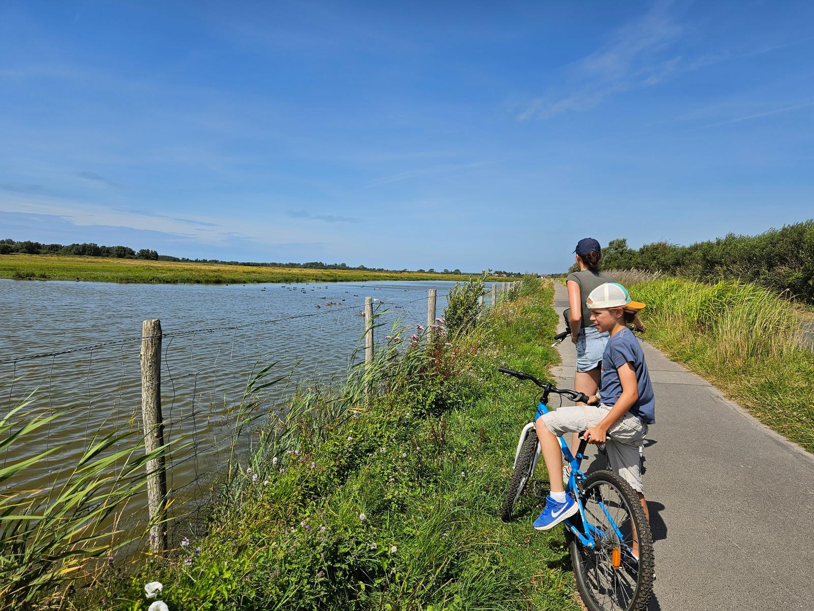 Le Crotoy : cyclistes en balade dans les marais 04