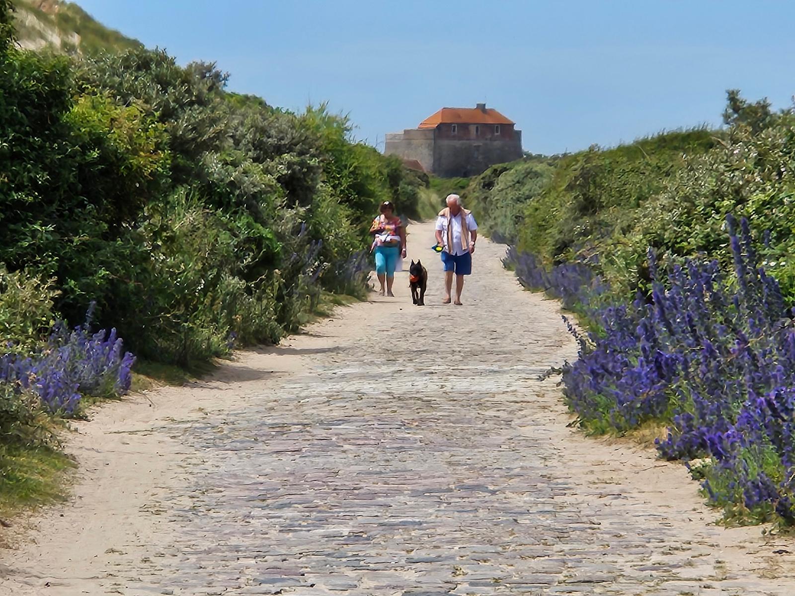 GR 120 : sentier de randonnée du littoral 66