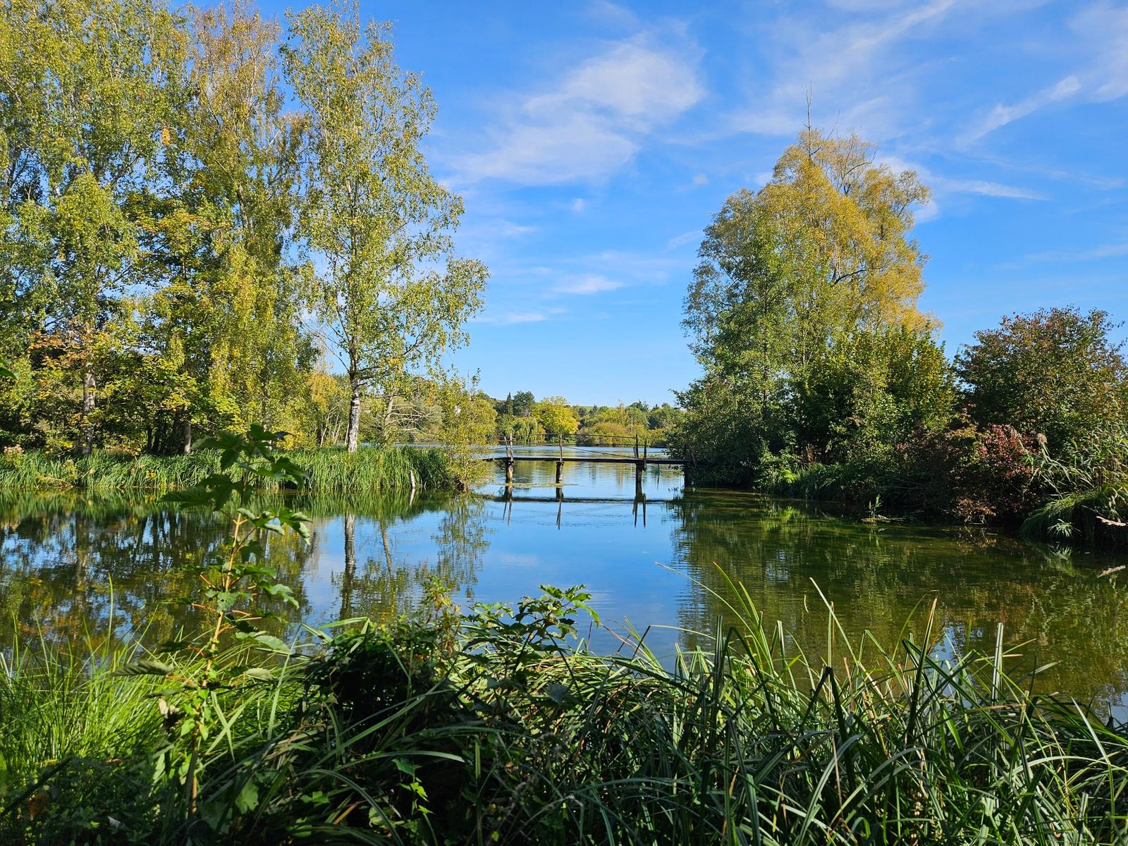 Etang et bord de Somme en Haute-Somme  10