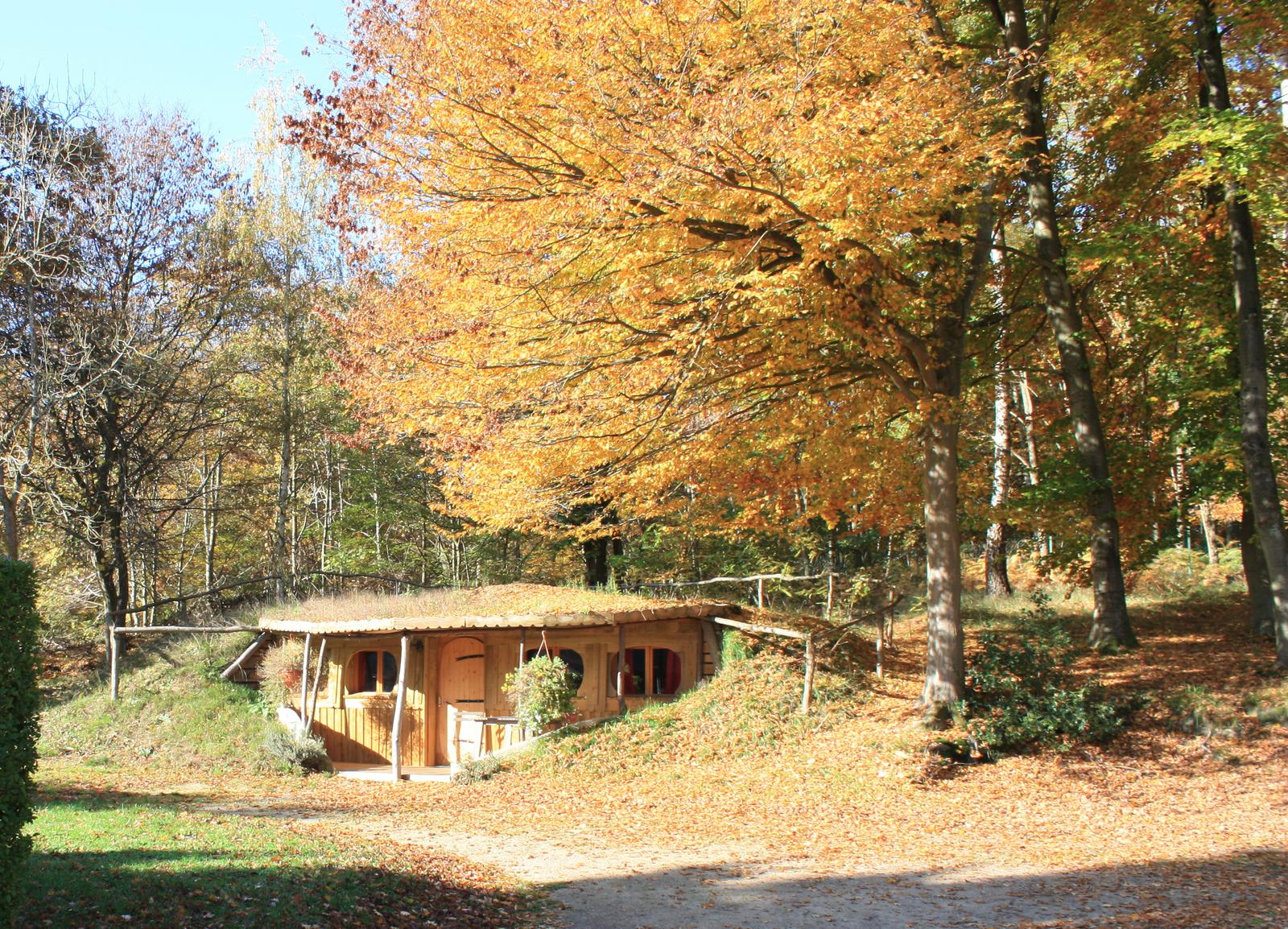Pierrefonds : coeur de la forêt  16