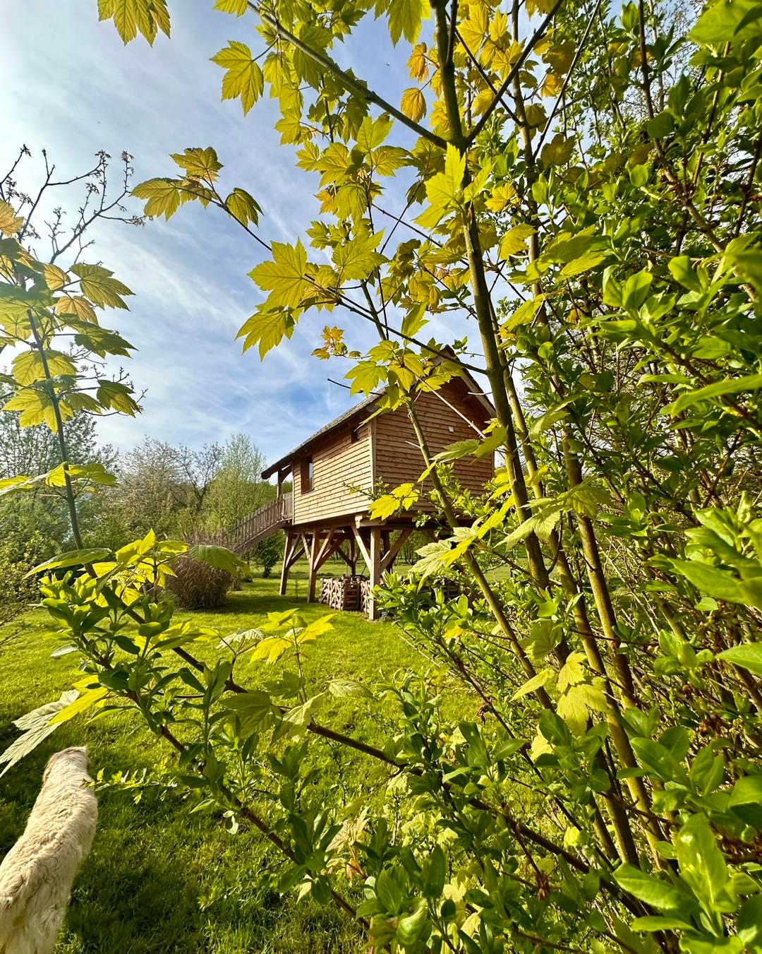 Roy-Boissy : camping Pause du Vieux Moulin cabane cosy  25