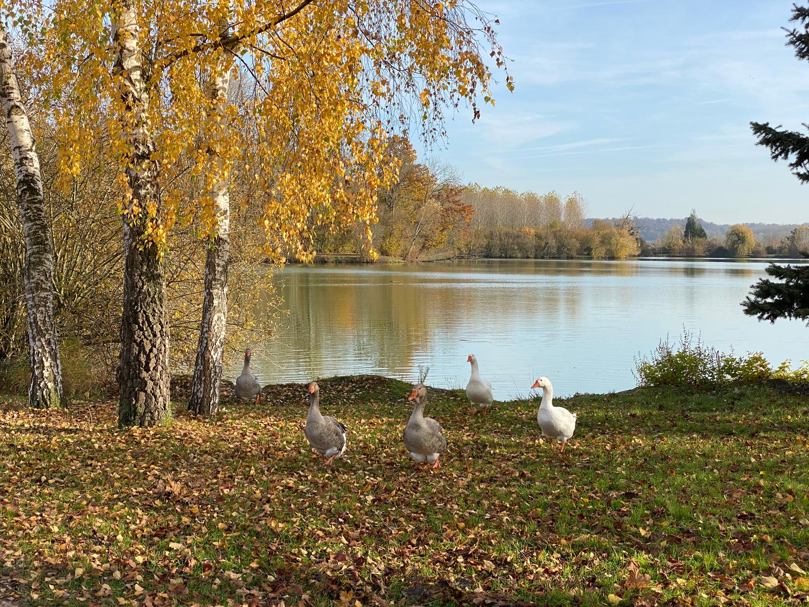 Attichy : camping l'Aigrette  04