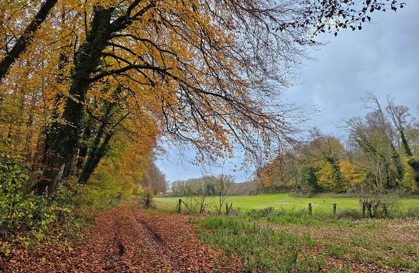 Chemin de randonnée autour de Luzières Conty