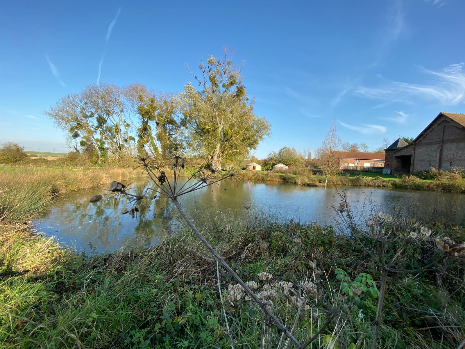Beaugies-Sous-Bois - Ferme du Tao 37