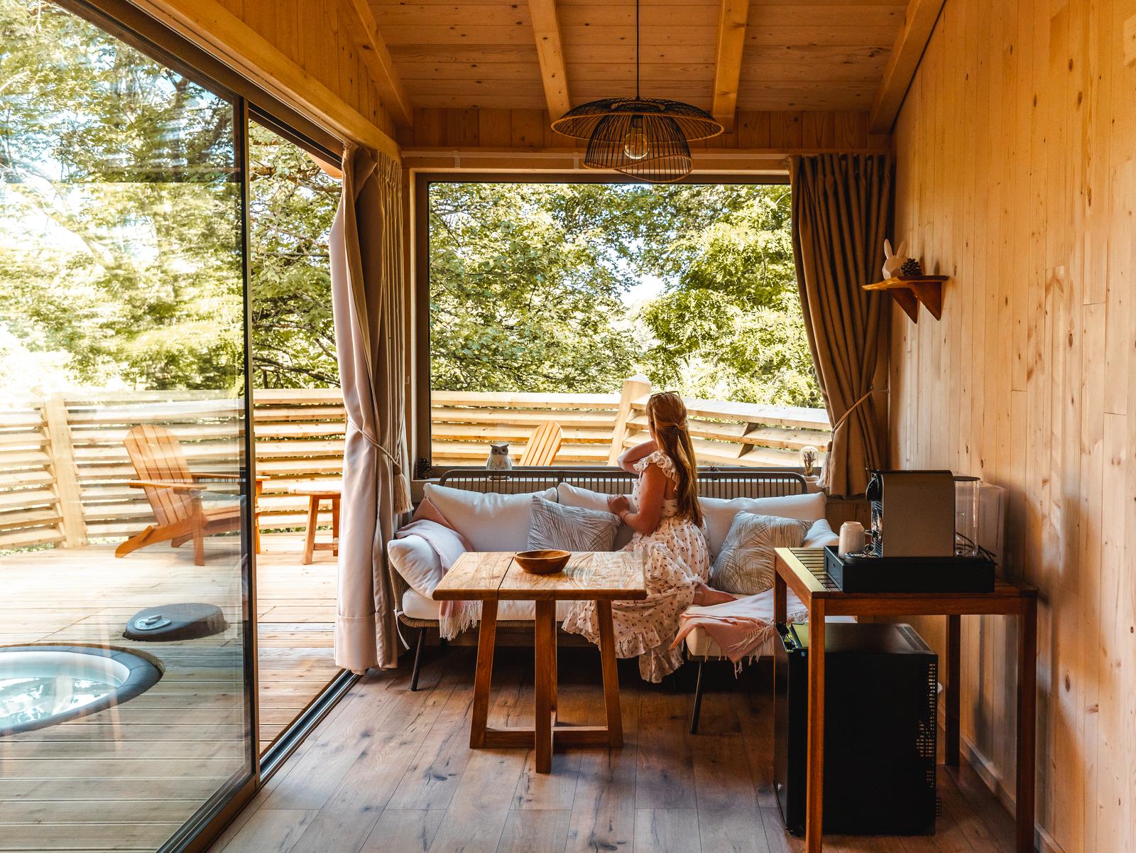 Rosoy-en-Multien : Cabane coup de coeur (le Bois de Rosoy)  05