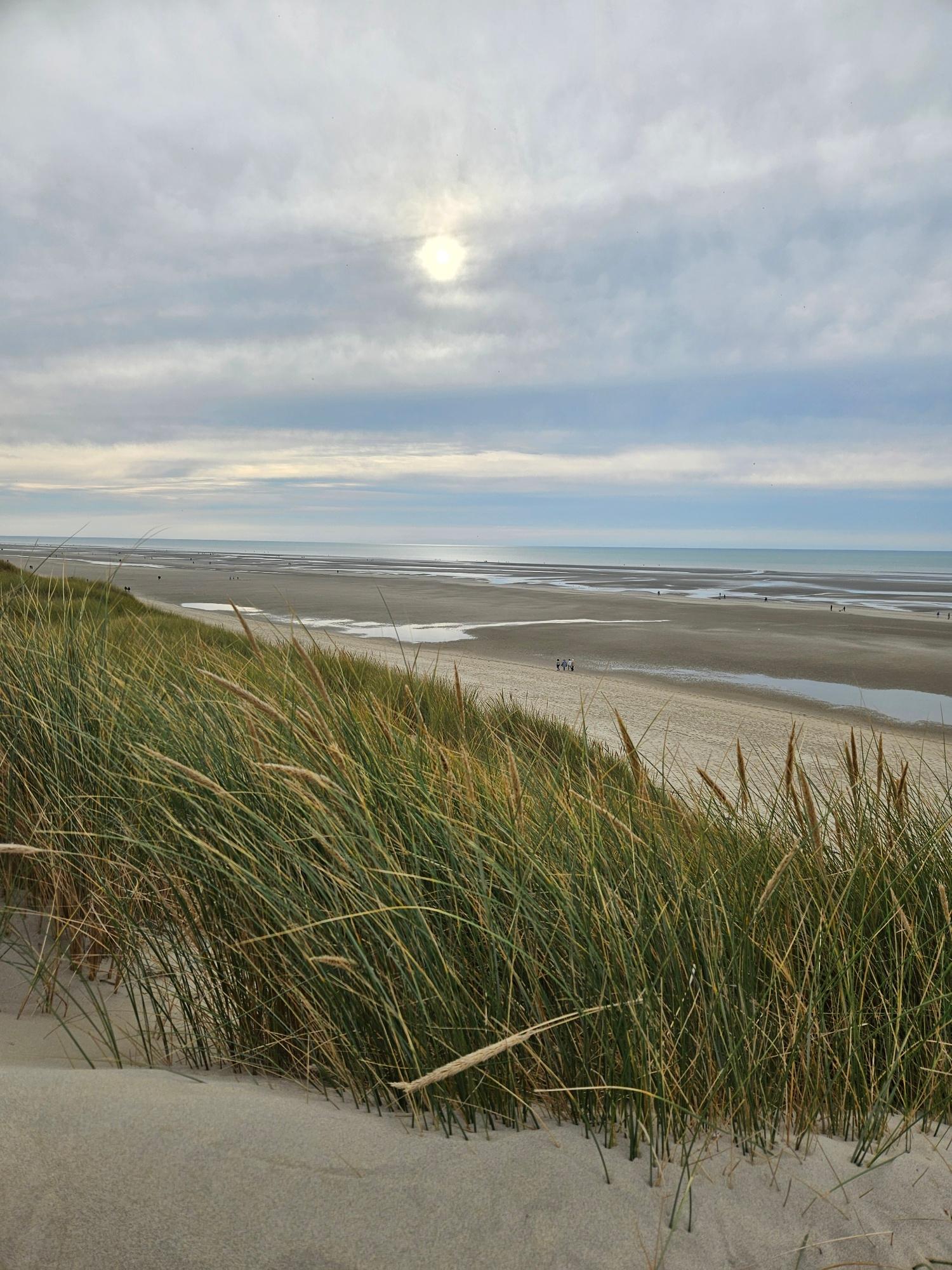 Le Touquet : Plage - Baie de Canche - Dunes 09