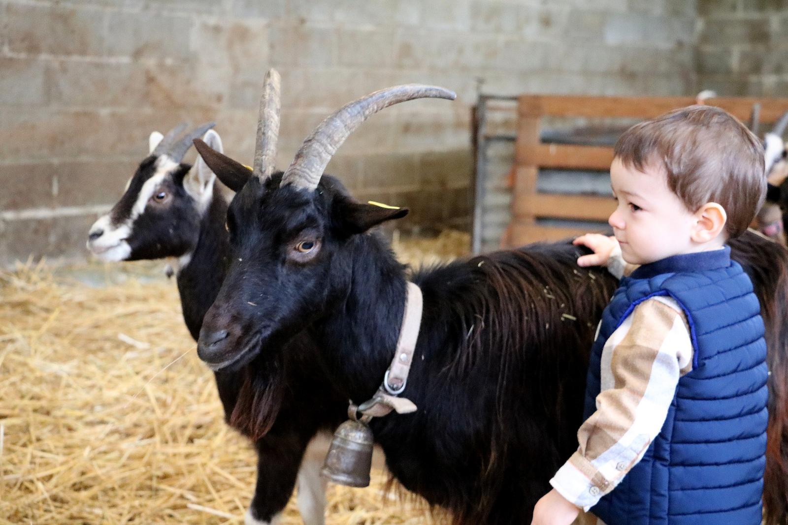 Eparcy - chambre d'hôtes la Ferme du Château 35