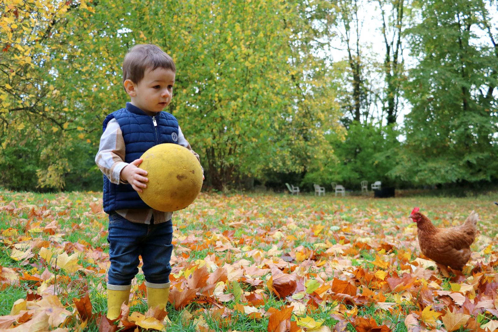 Eparcy - chambre d'hôtes la Ferme du Château 39