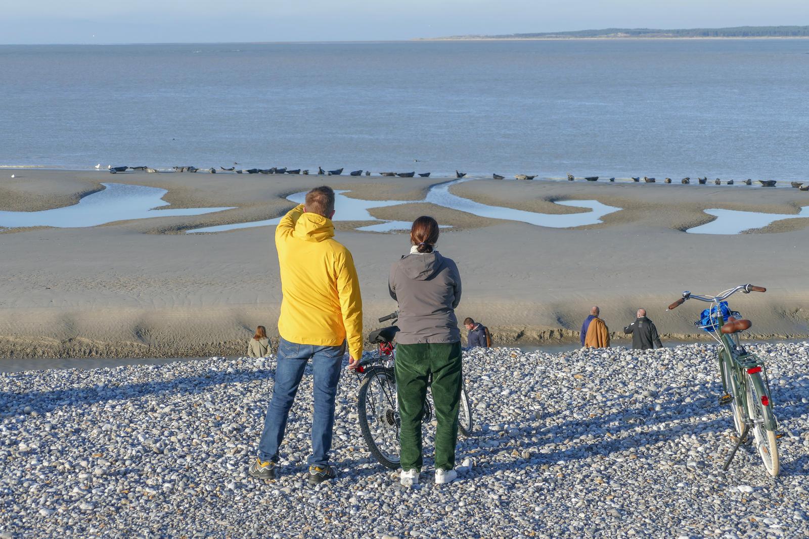 Le Hourdel : couple à vélo
