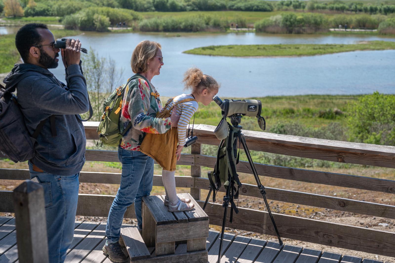Parc du Marquenterre en famille