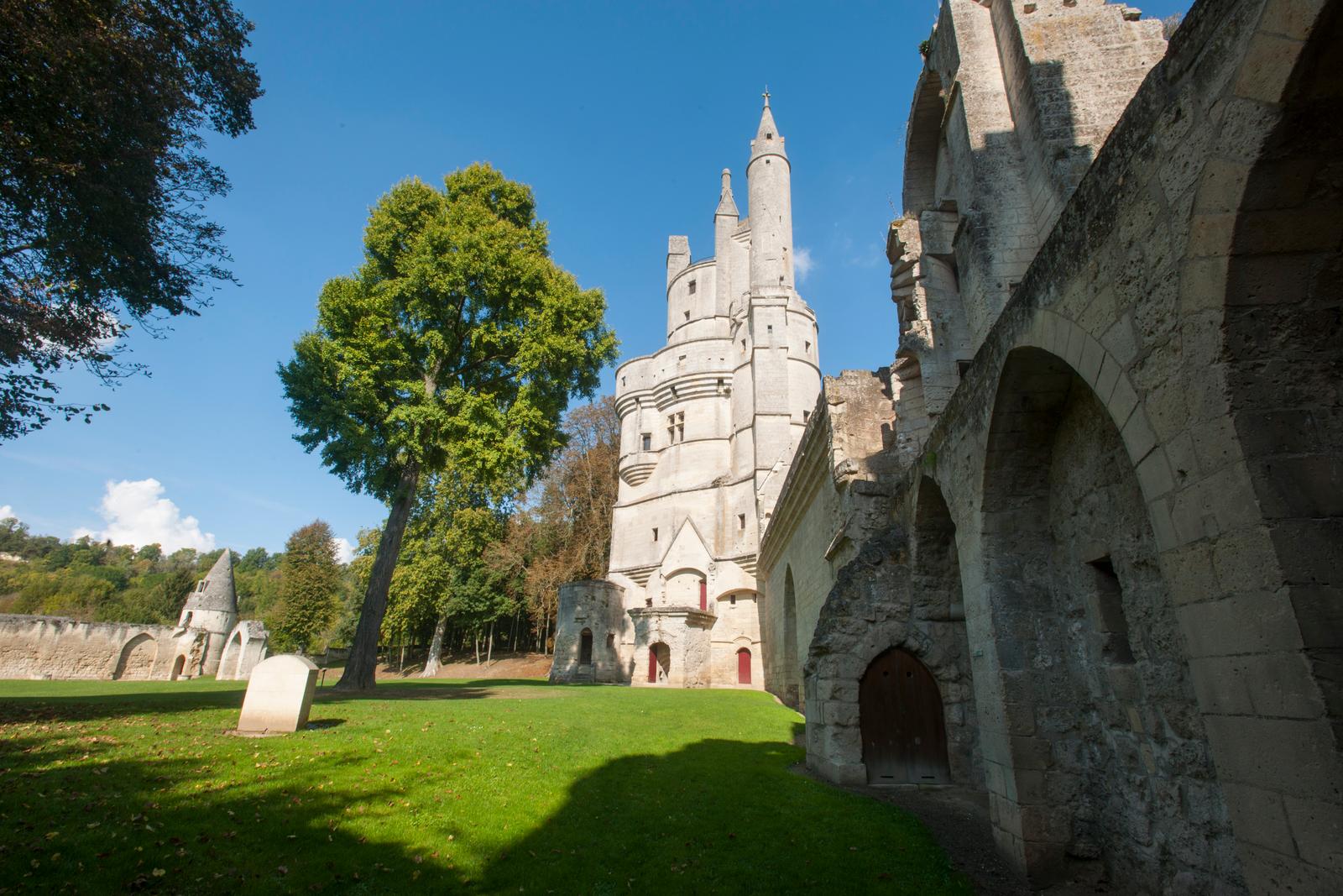 Donjon de Septmonts  04