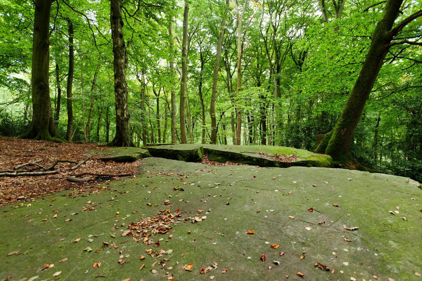Menhir Pierre Clouise Forêt de Retz  02
