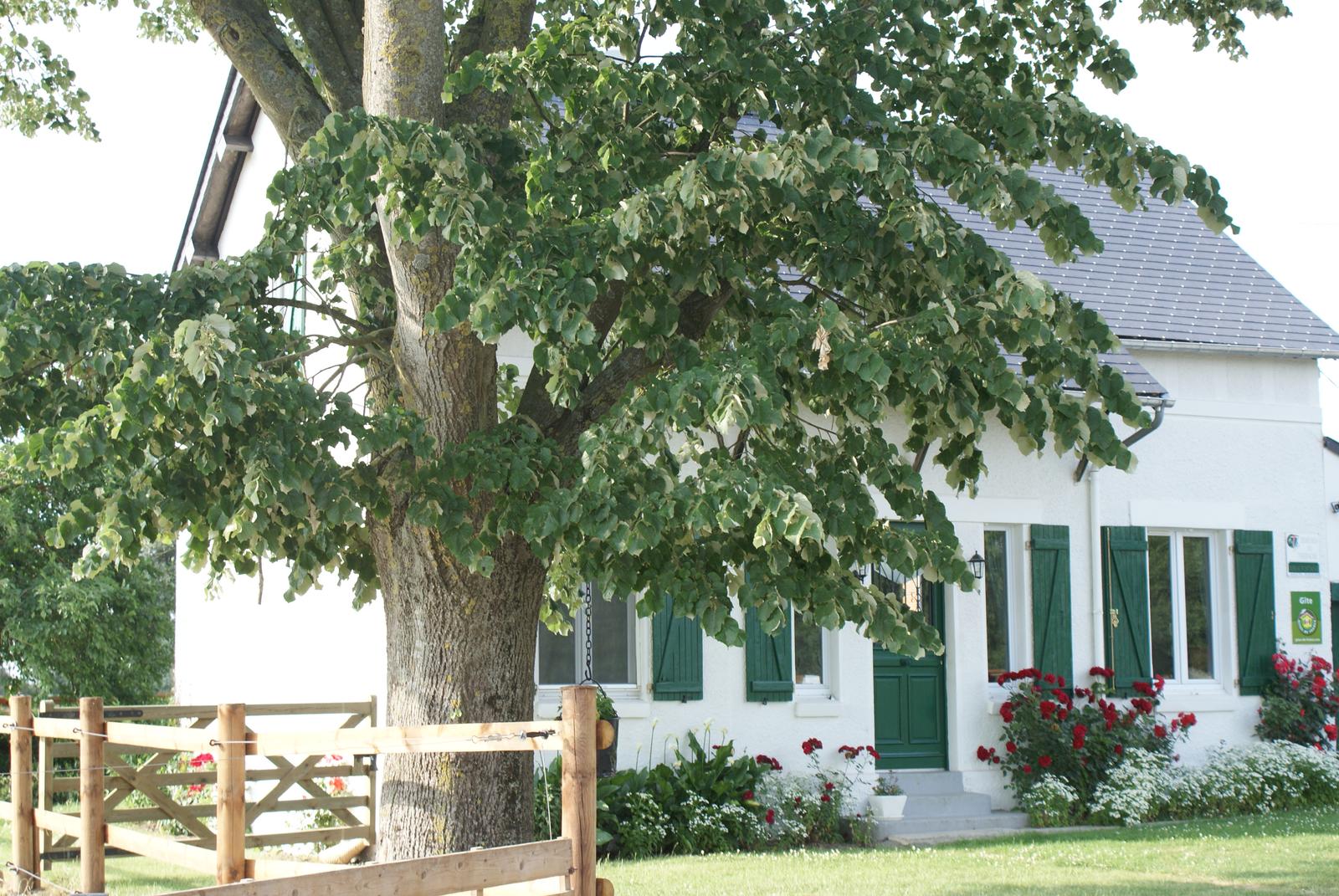 La Neuville-les-Dorengt : Le Grand Gîte de la Ferme de Ribeaufontaine 19