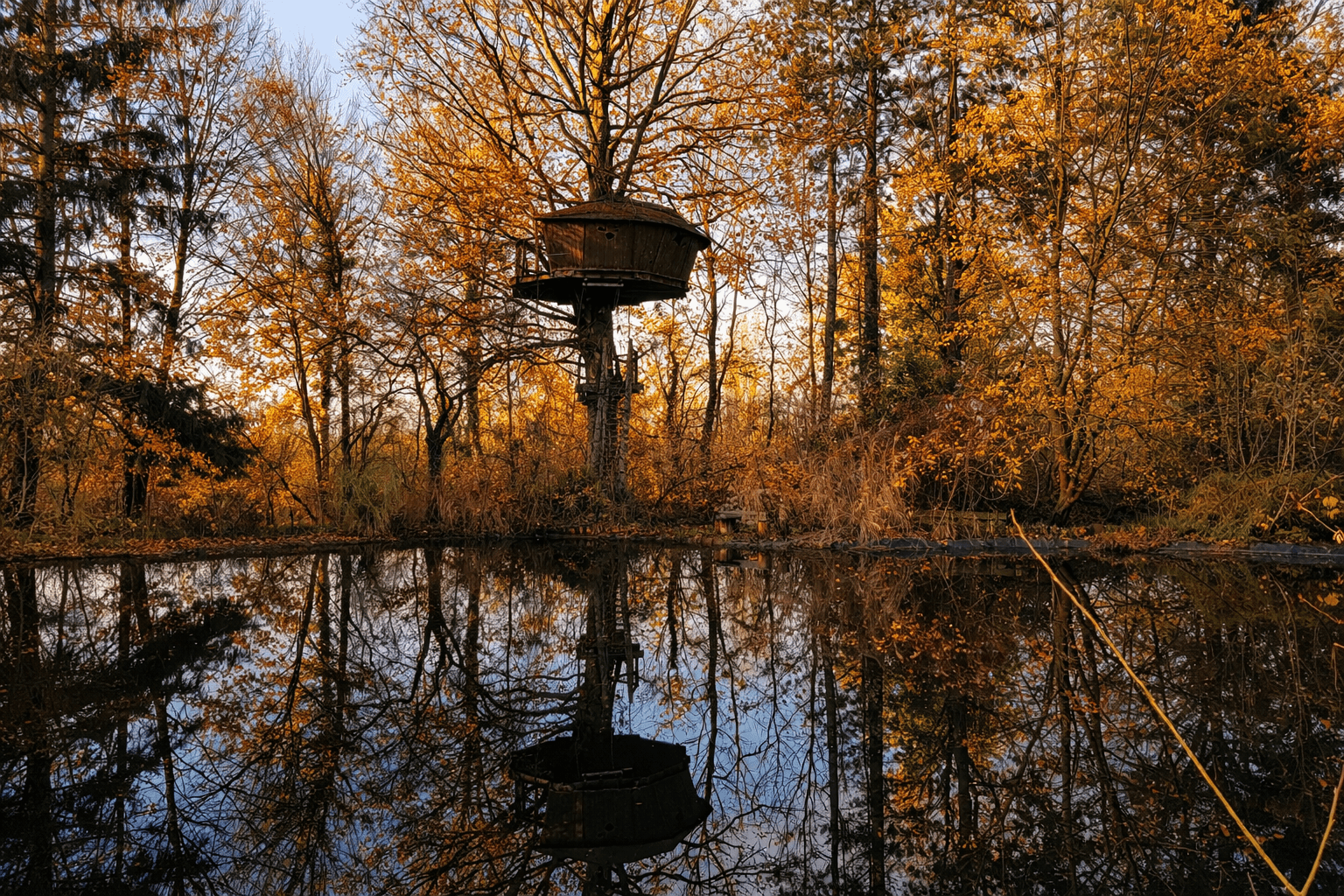 Wail : le domaine de Wail 9bis