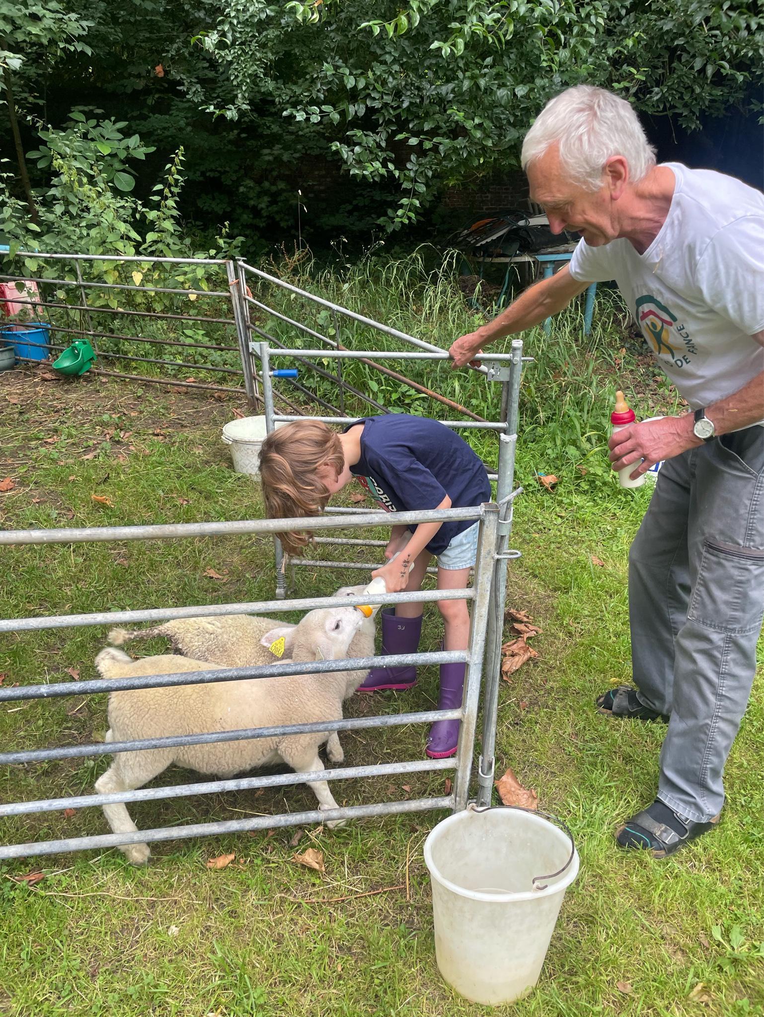 Eparcy : Le château - les animaux 02