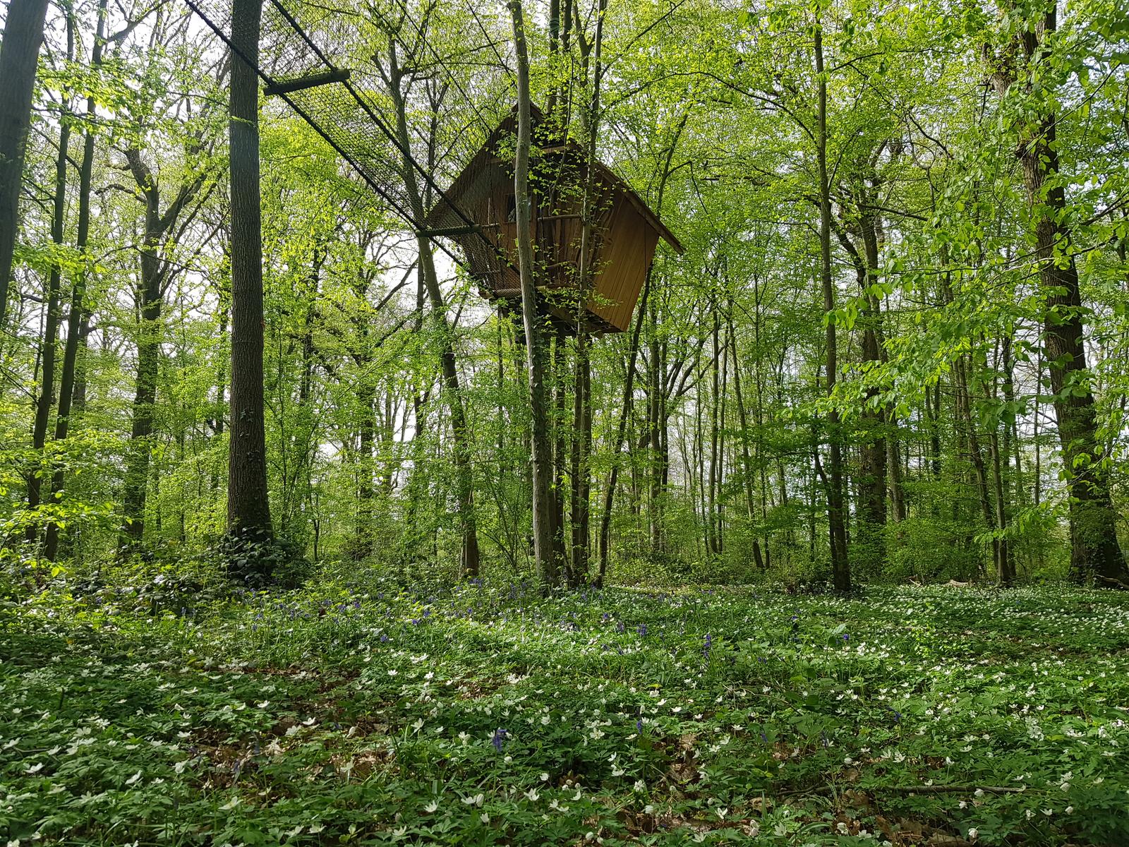 Ailly-sur-Noye : parc de loisirs Terrains d'Aventure 41
