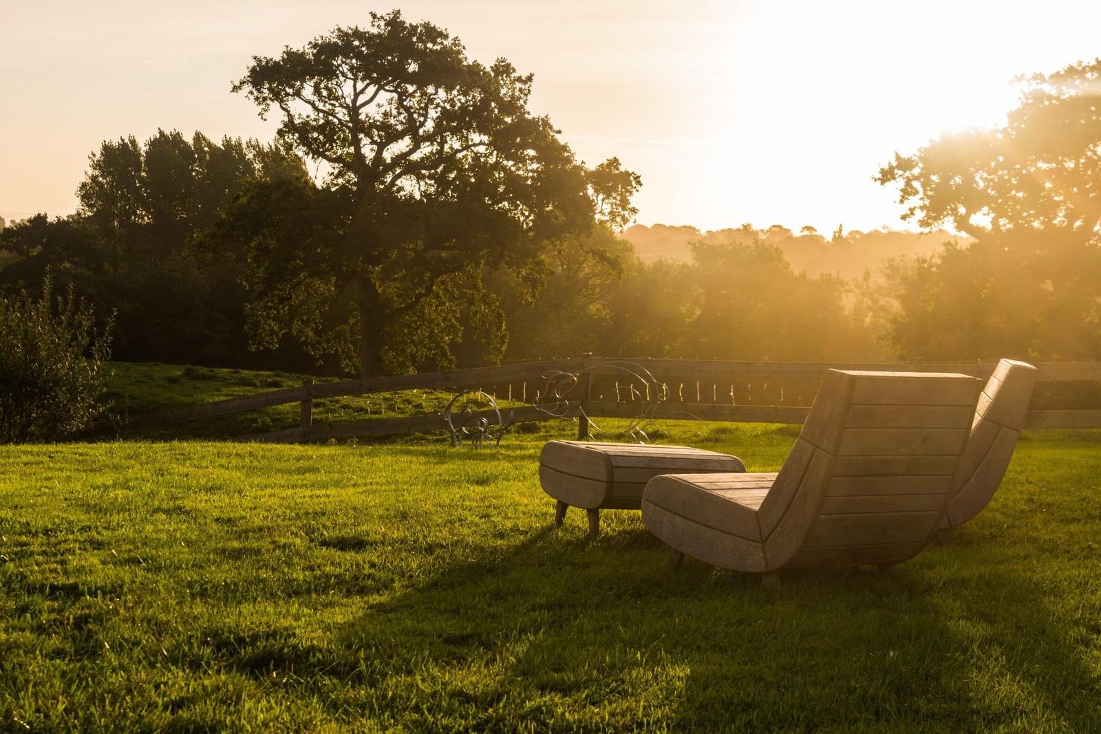 Wierre-Effroy : Ecodomaine le Verin - le jardin