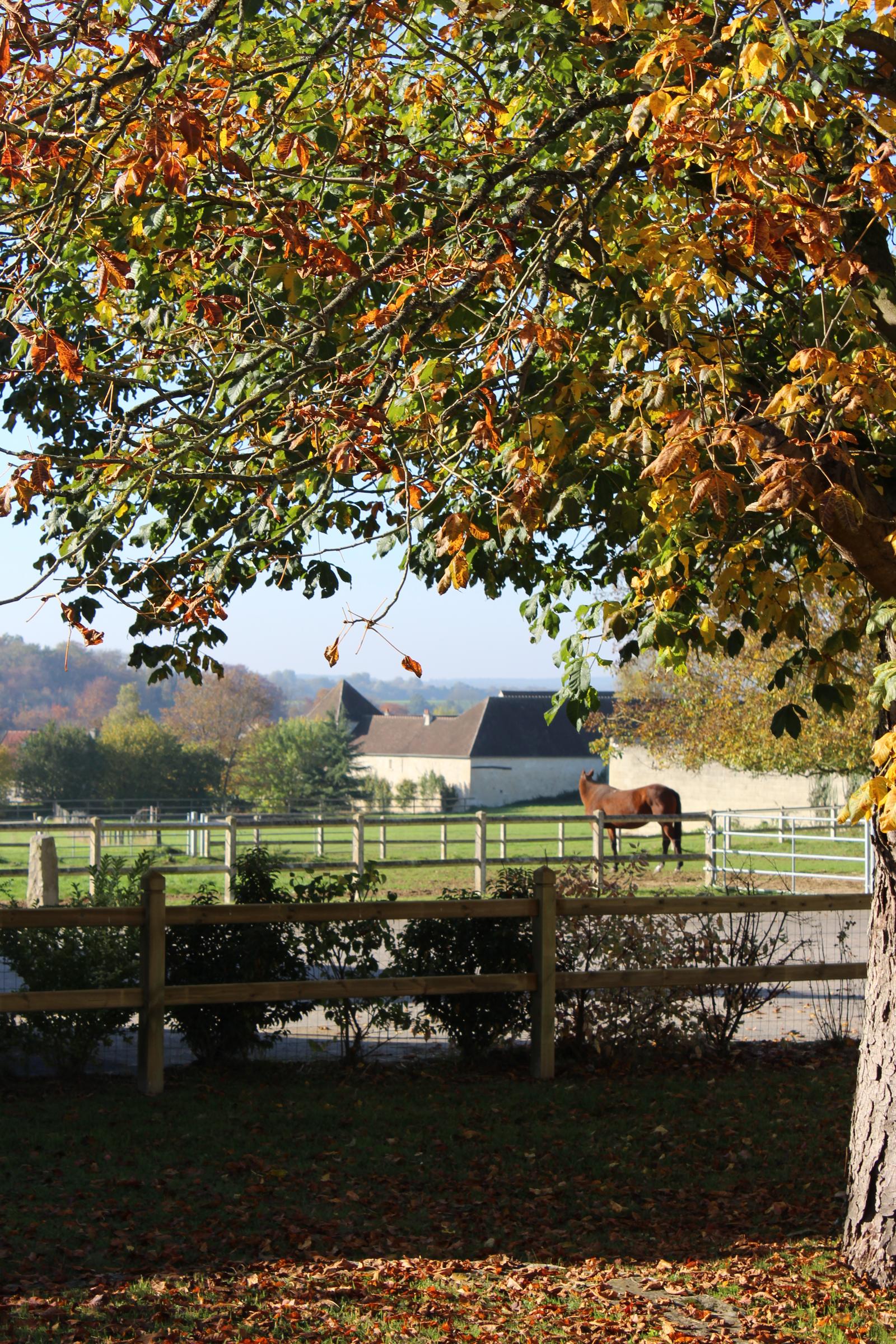 Largny sur Automne : Manoir de la cour 32