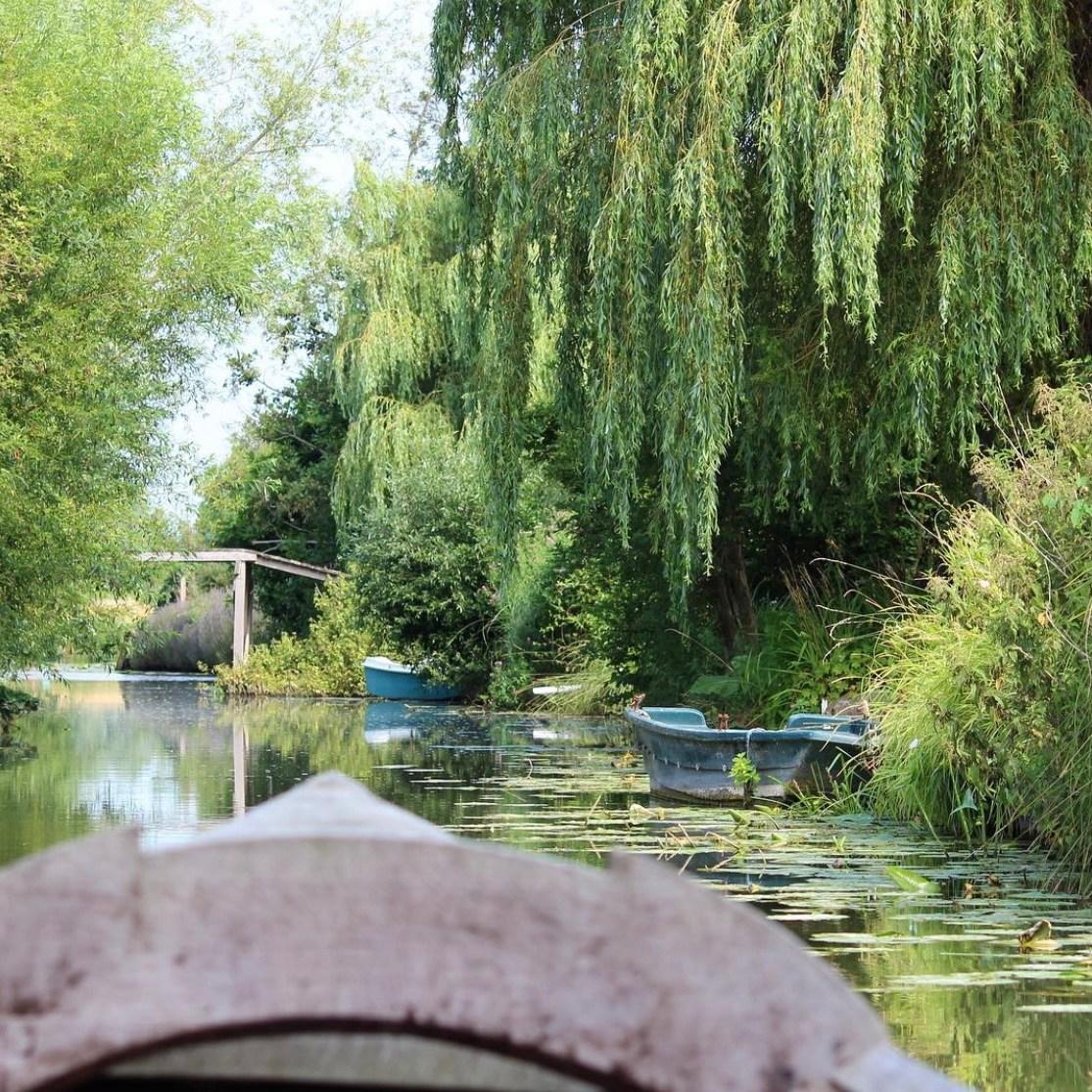 Tilques : Château de Tilques 26