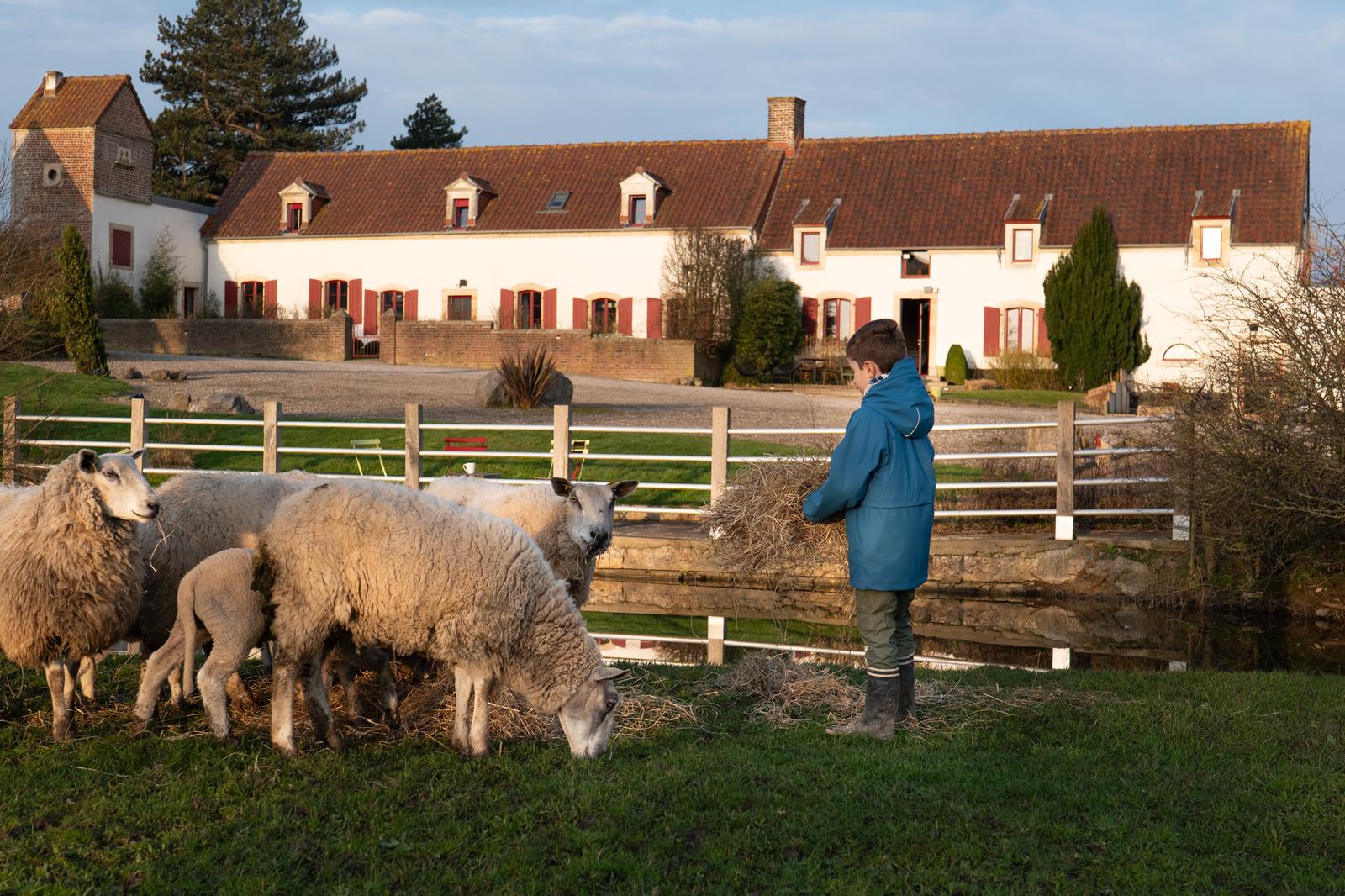 Wierre-Effroy : Ecodomaine le Verin - les animaux du domaine