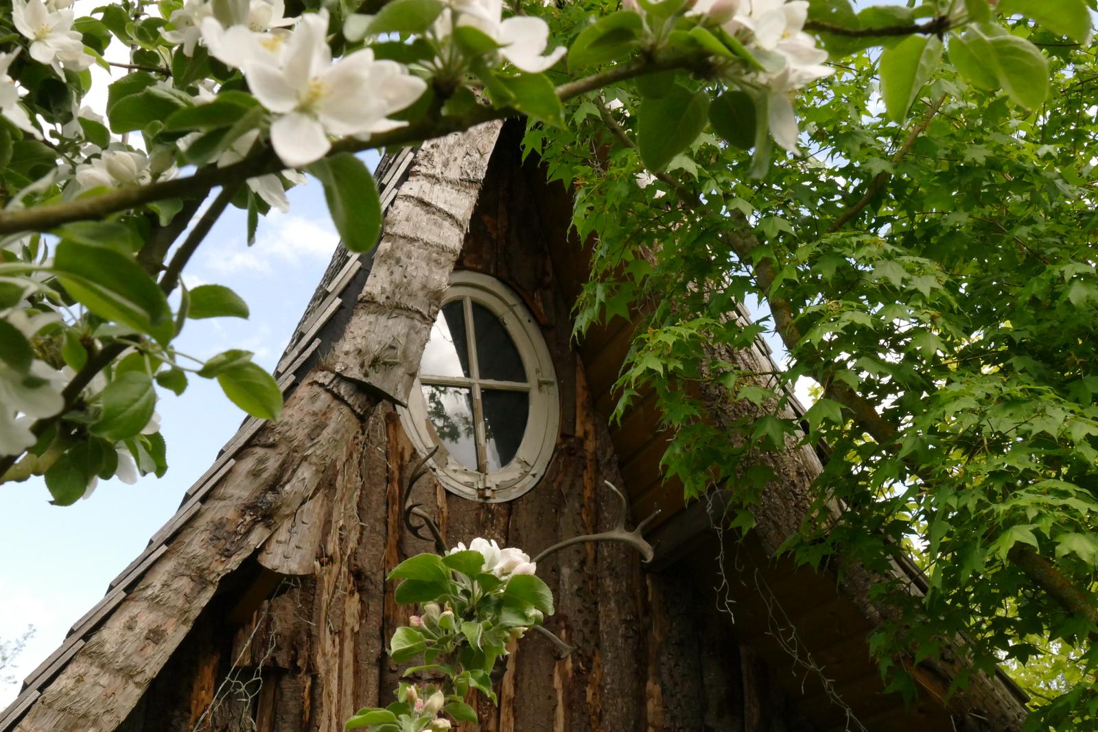 Essuiles : Le Refuge des 3 Ours - Cabane de la fée 14