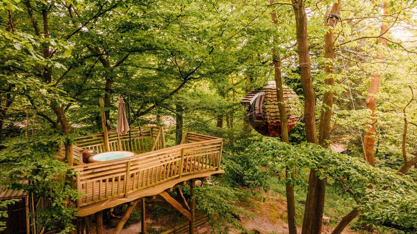 Le Bois de Rosoy - Cocon