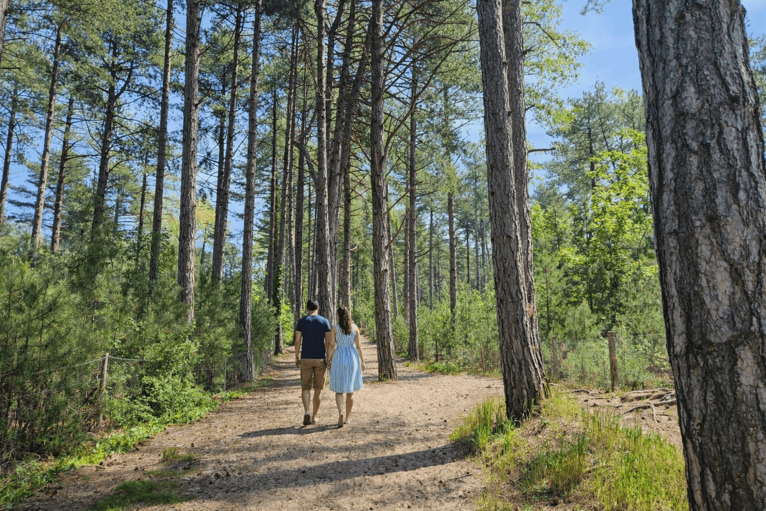 Saint-Quentin-en-Tourmont : sentier d'accès à la mer