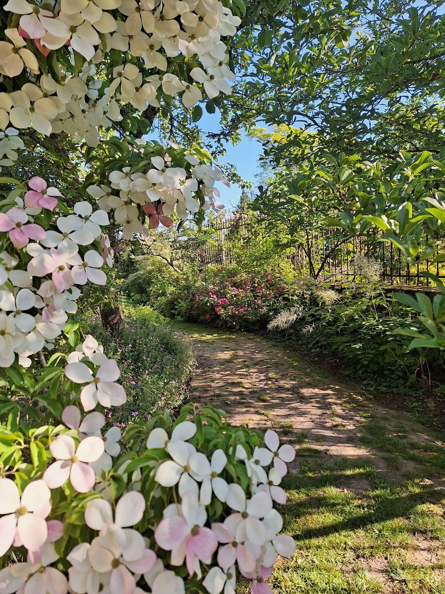 Morvillers-Saint-Saturnin : le jardin floral de Digeon 02
