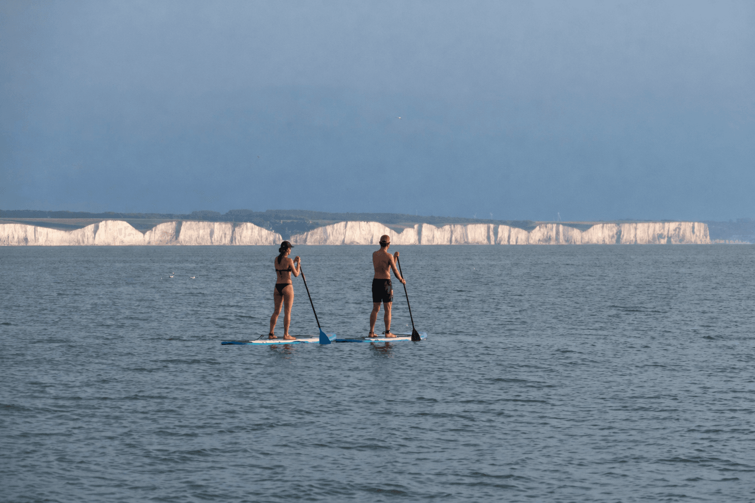 Ault : paddle
