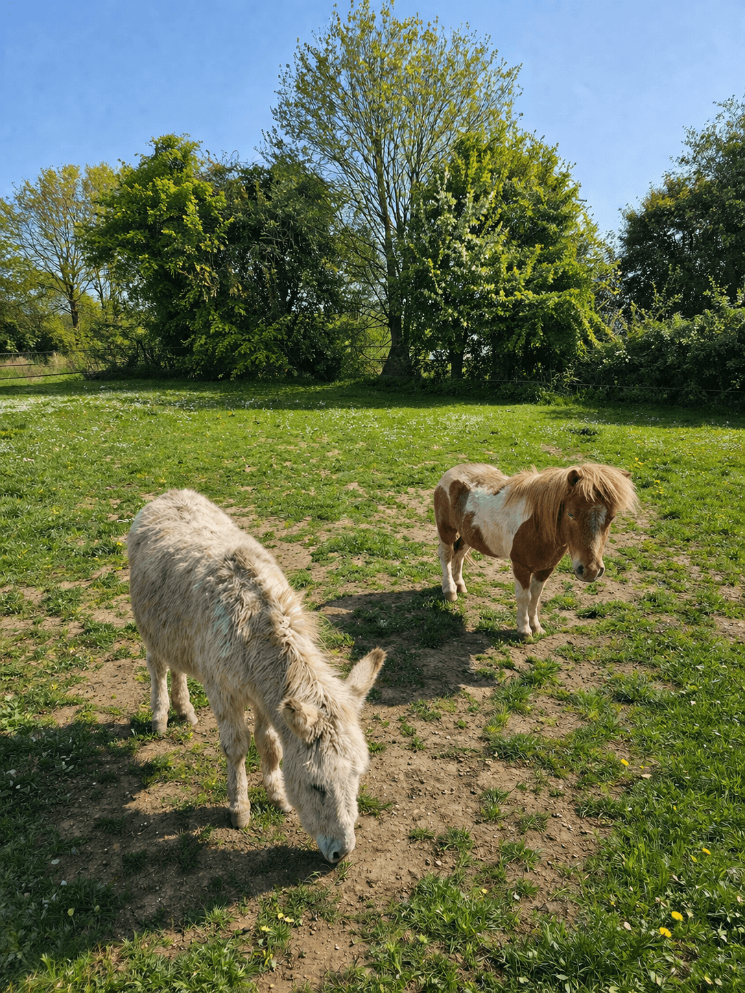 Crécy-en-Ponthieu : La Fermette des Ramolleux 20