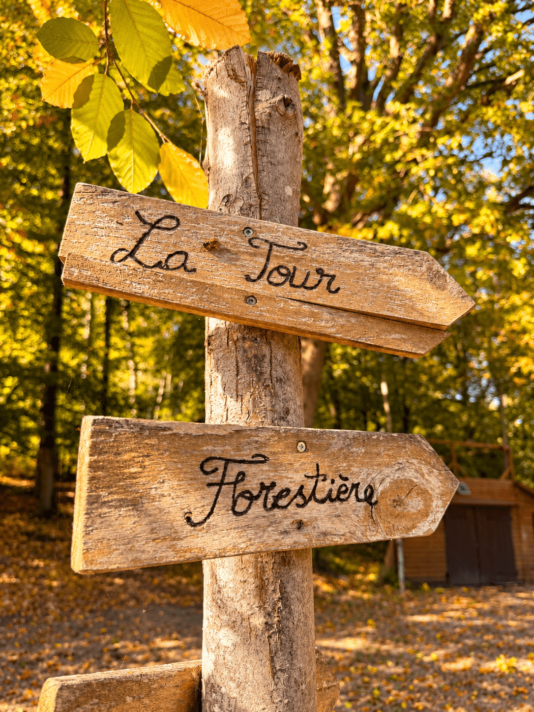 -camping-coeur-foret-pierrefonds-2