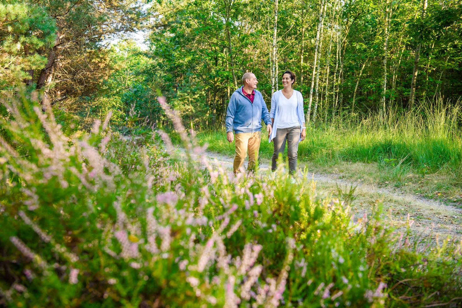 Forêt d'Ermenonville-19