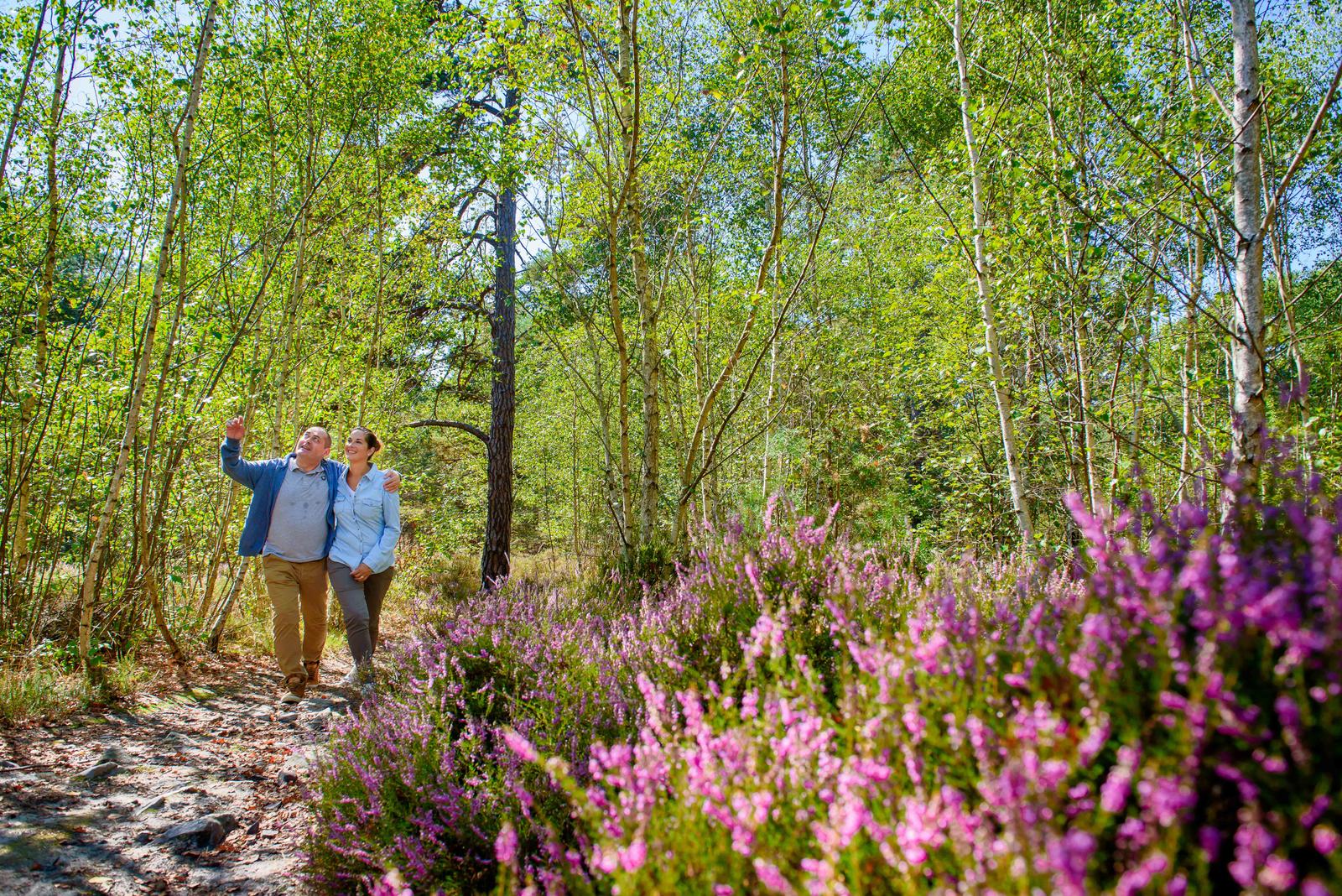 Forêt d'Ermenonville-22