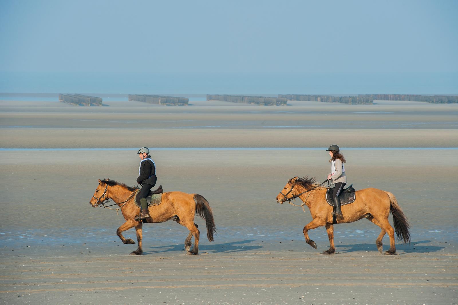 Baie de Somme : randonnée équestre en cheval Henson 01