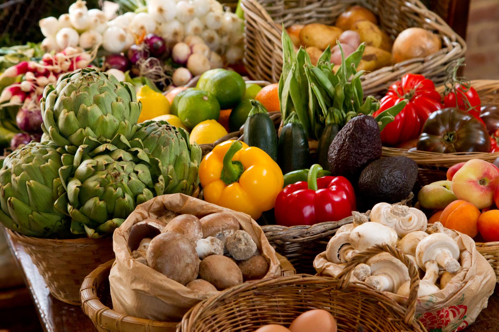 Gerberoy : légumes du potager du jardin des ifs 02