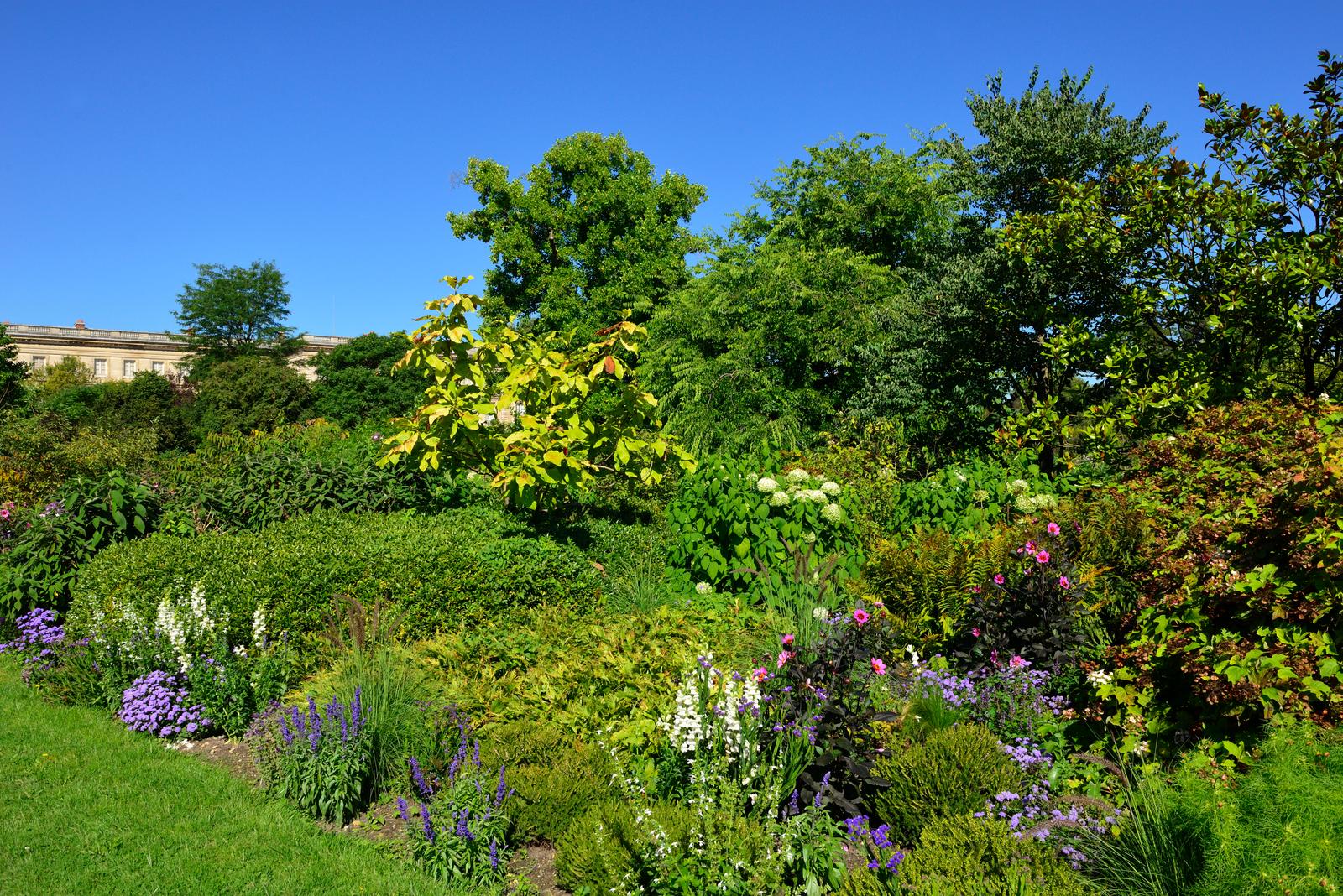 Compiègne : massif de fleurs dans le parc du château en été