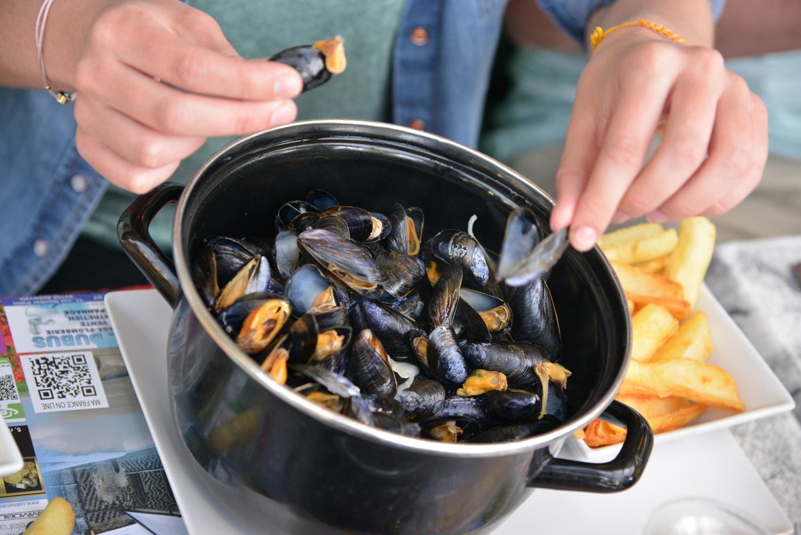 Plat de moules-frites
