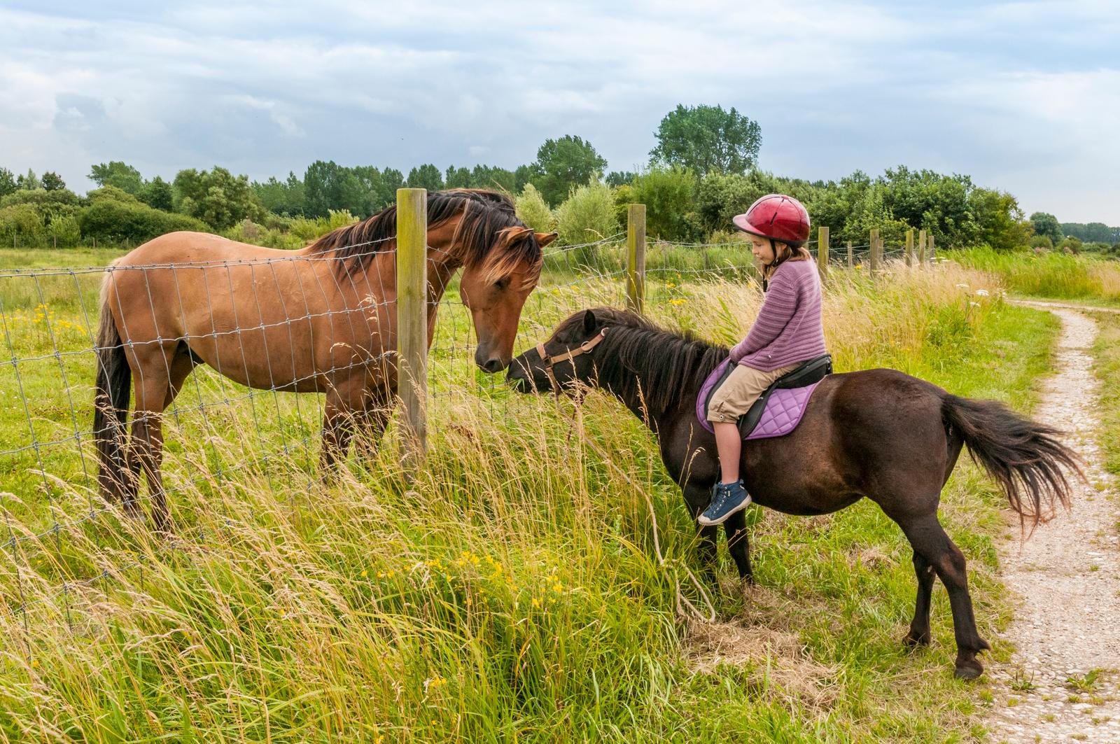 Rue : fillette à cheval