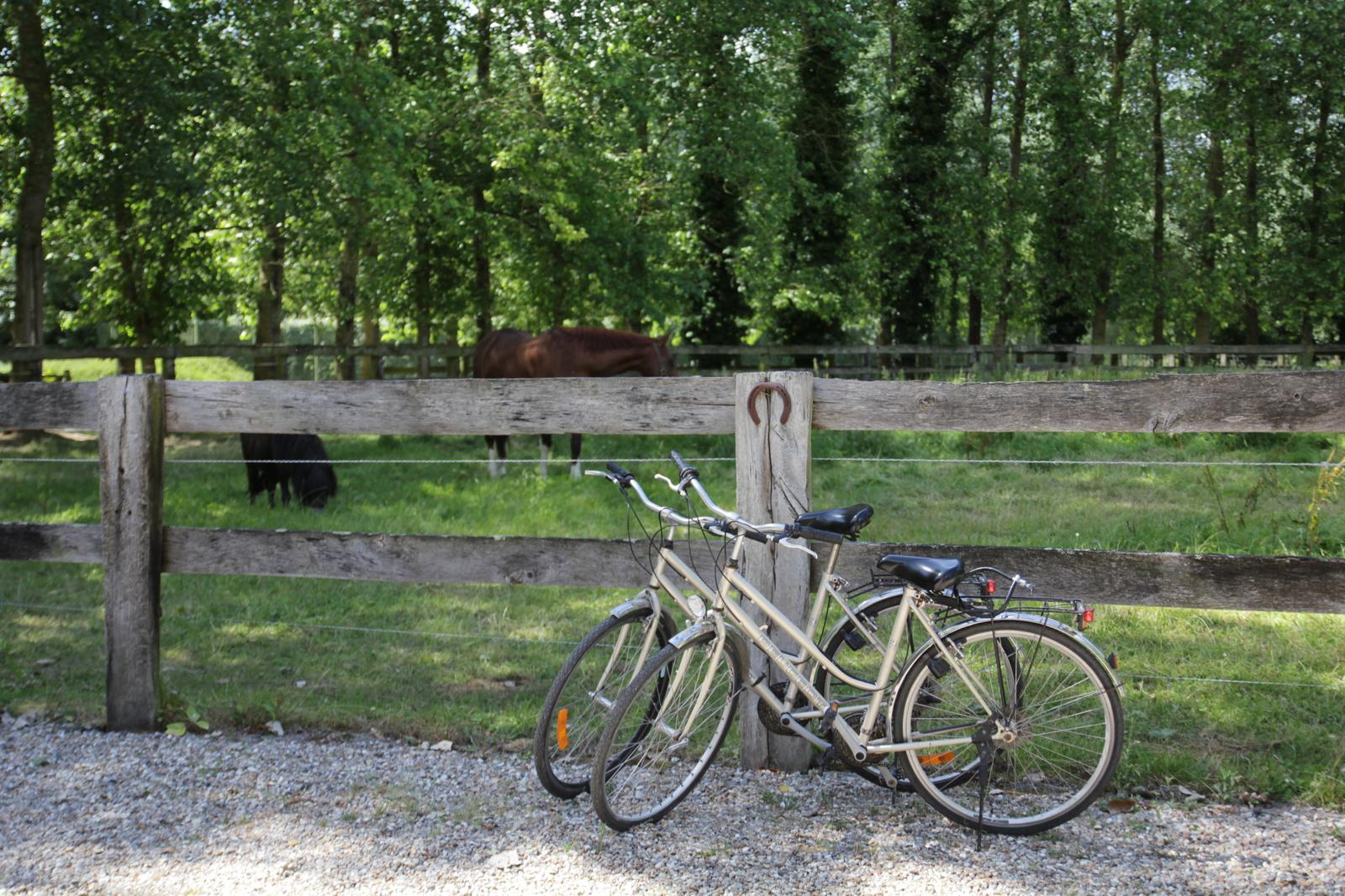 Quend-Plage : Edoniaa, chambre d'hôtes 79