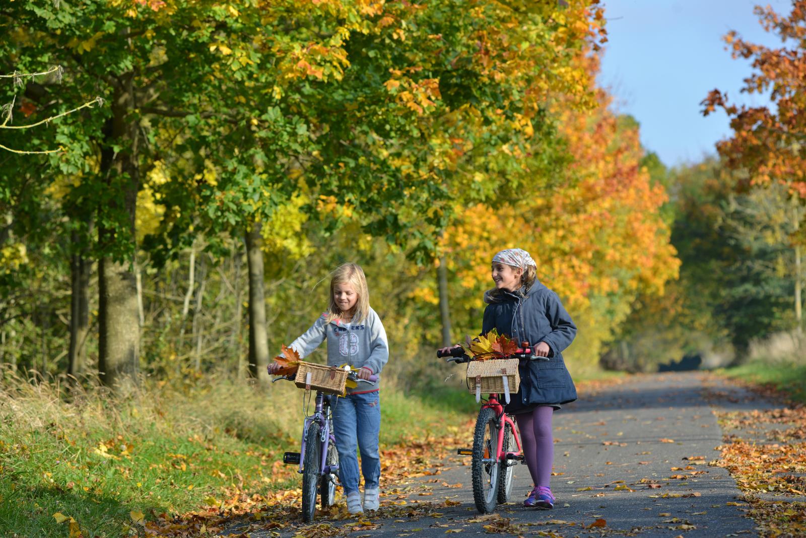 Fillettes à vélo dans la forêt en automne