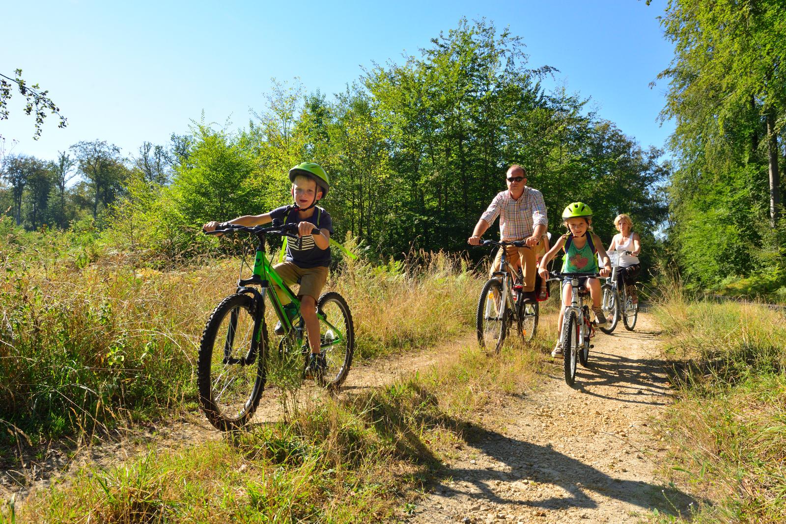 Compiègne : balade à vélo en forêt