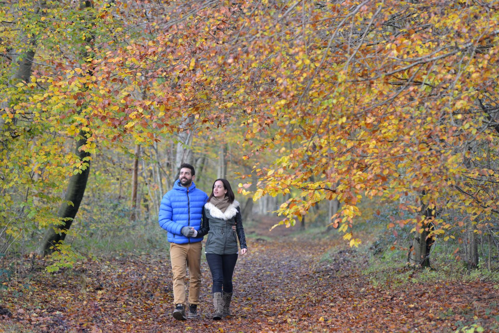 forêt de Compiègne automne