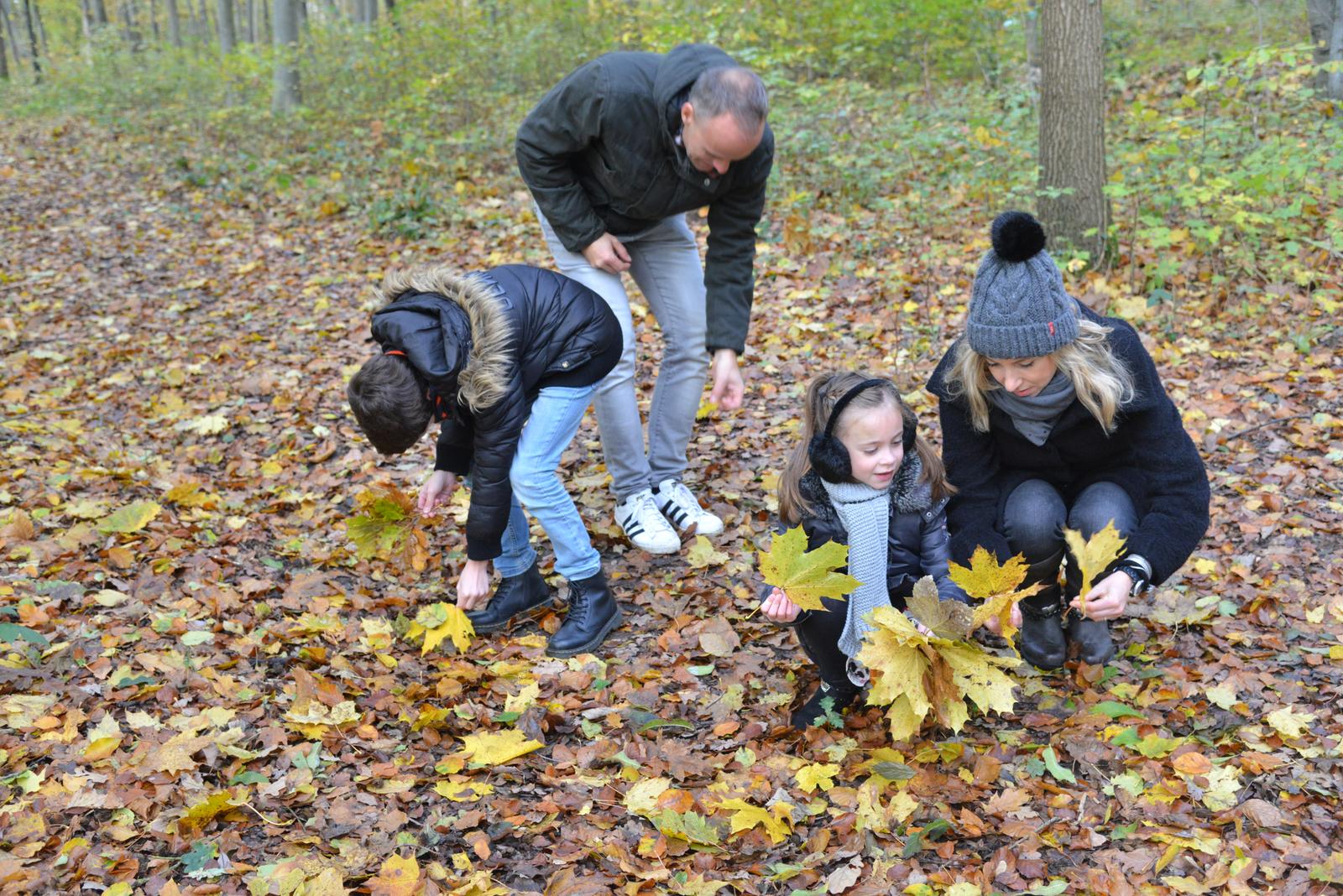 Forêt de Pierrefonds : famille ramassant des feuilles