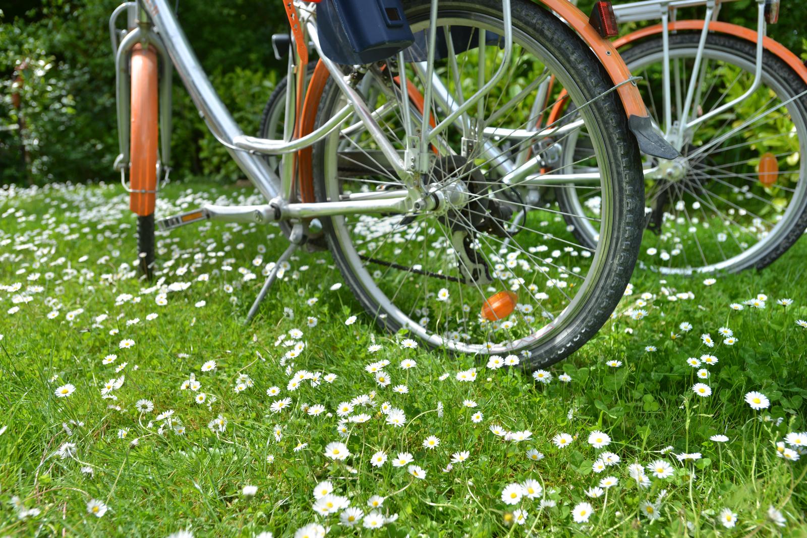 Port-le-Grand : château des Tilleuls, tente bivouac sur pilotis 03