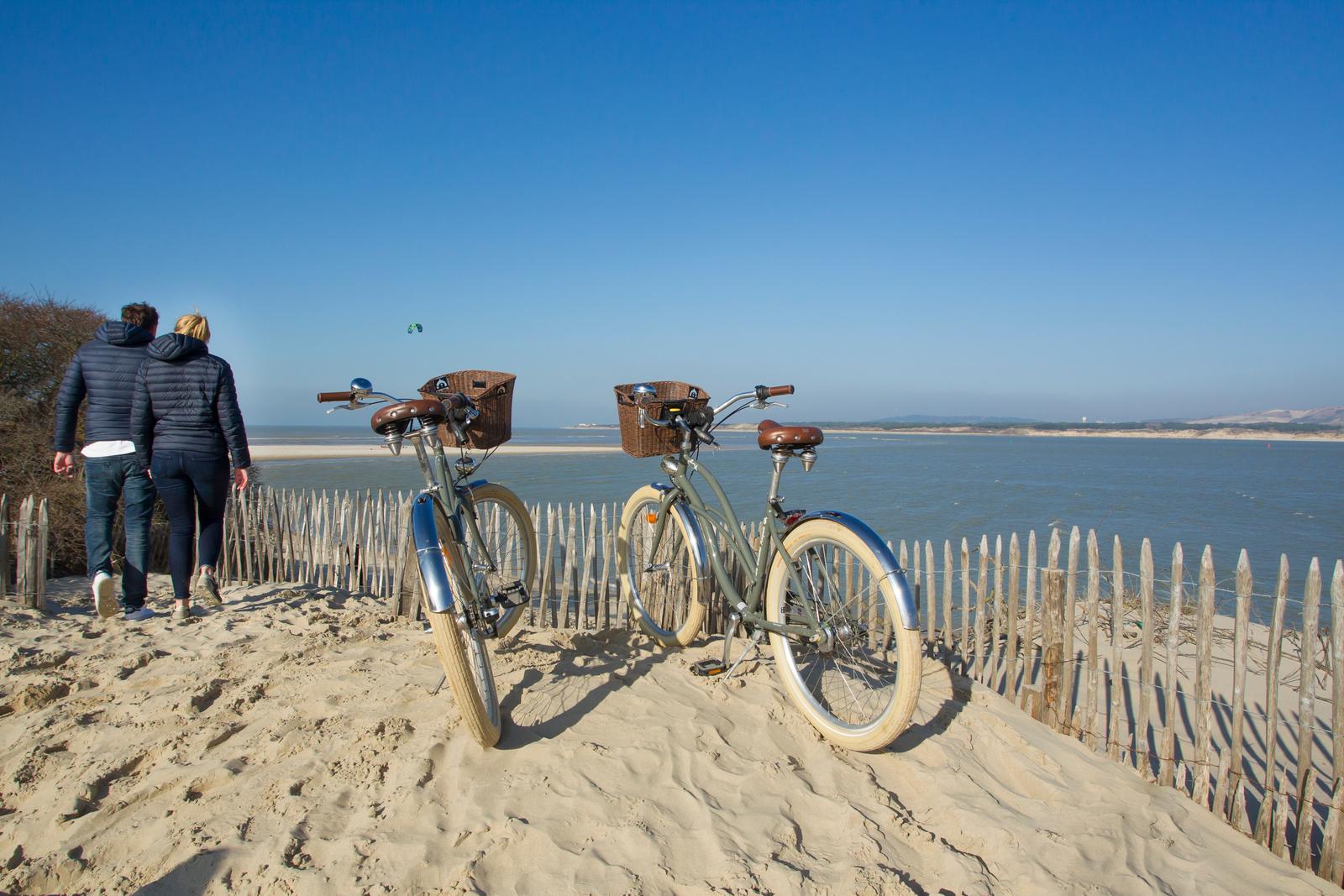 La baleine royale - Location de vélos 08