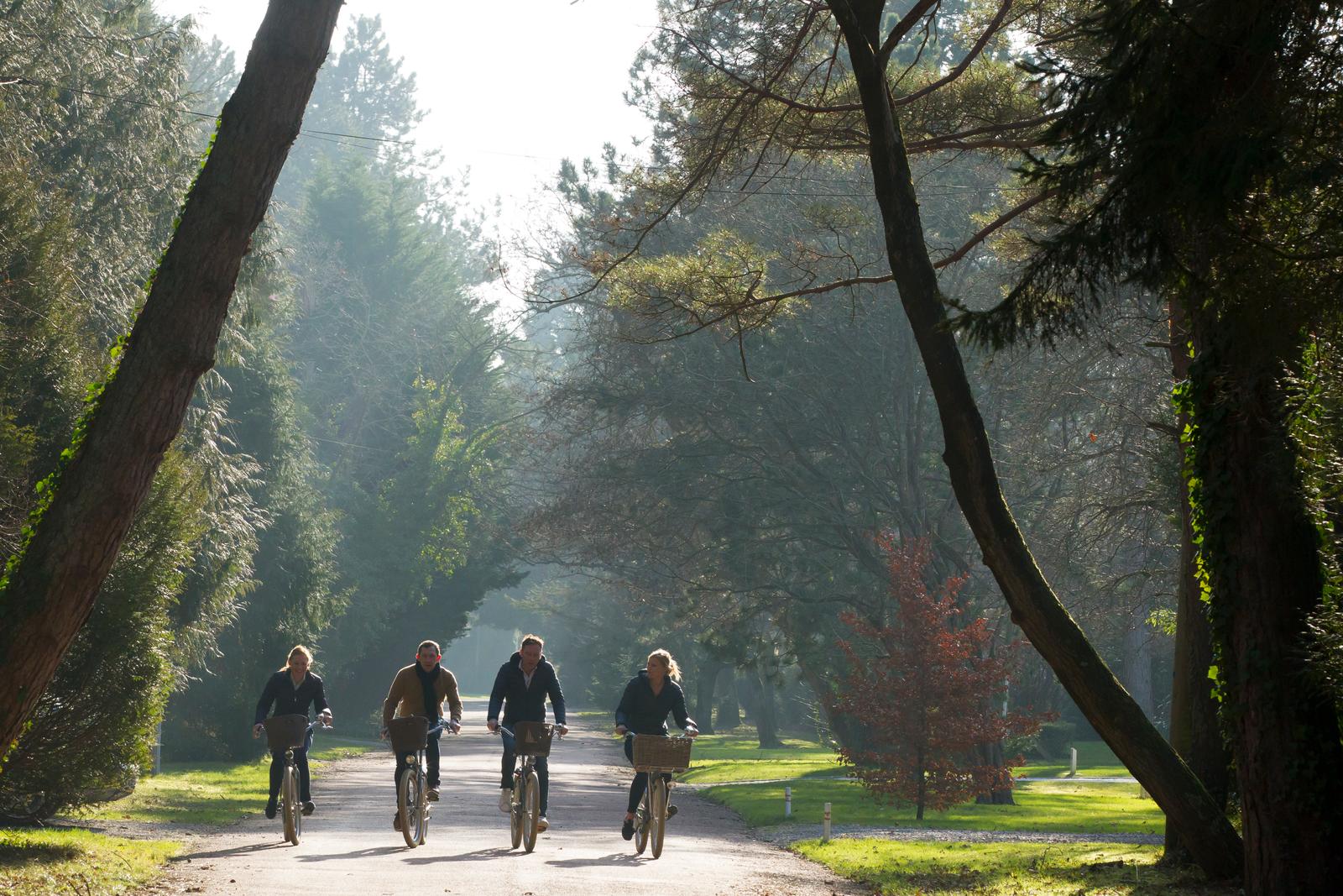 La baleine royale - Location de vélos 01